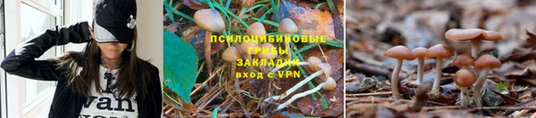 кокаин колумбия Зерноград