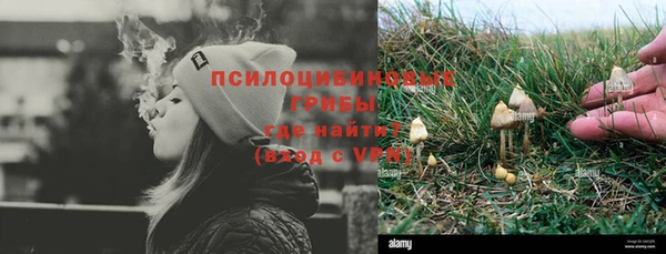 стаф Зеленодольск
