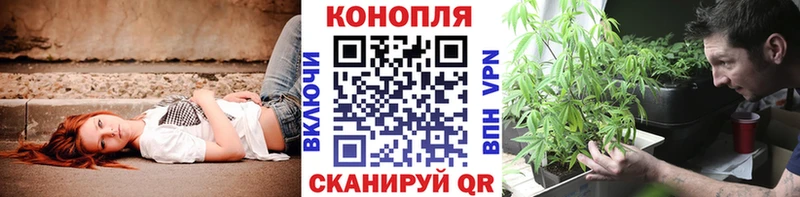 darknet официальный сайт  Свободный  Бошки марихуана семена  где можно купить  